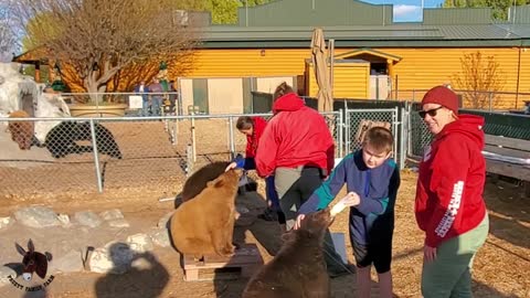 Insane! Kaleb and Camden Feeding Bear Cubs!