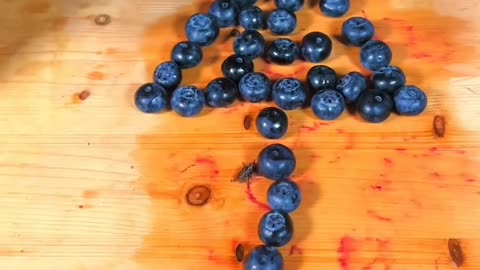 Gouees how many Blueberries 🫐a human can stand on!😳