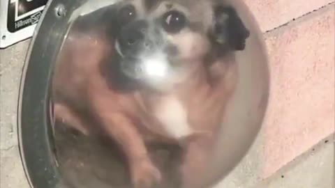 So cute