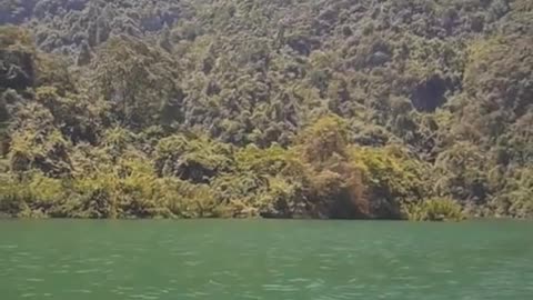 🚽🏞️🚢
