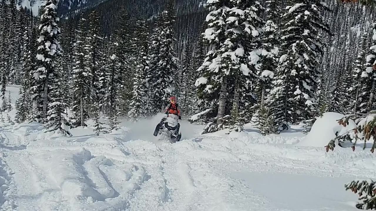 GGB can rips so loud it hurts the ears.