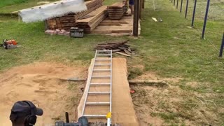 Cutting production of large oak logs