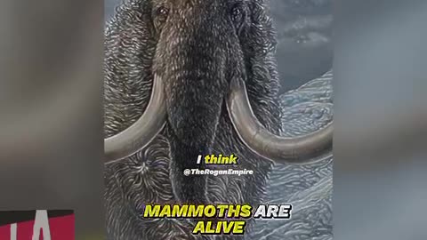 Woolly Mammoths Are Coming Back Soon