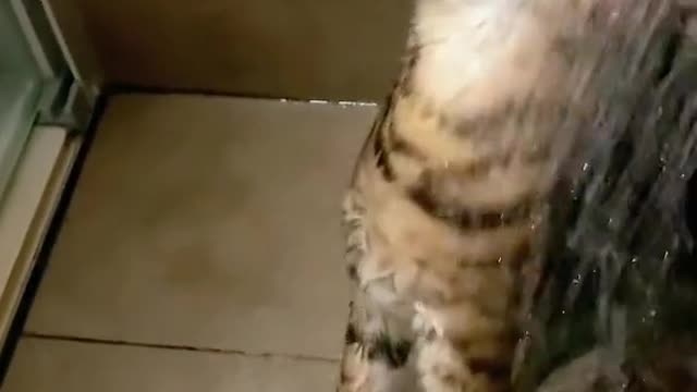 Bathing time! 💦