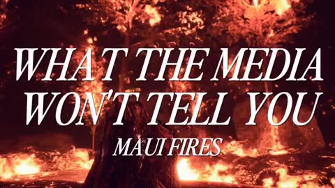 Maui fire. A deeper dive.