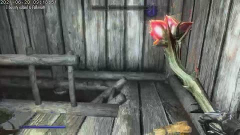 The Elder Scrolls 5 Skyrim Female Orc Karen D'Orc Part 231