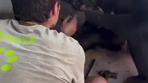 Mr. Monkey Mechanic in Action