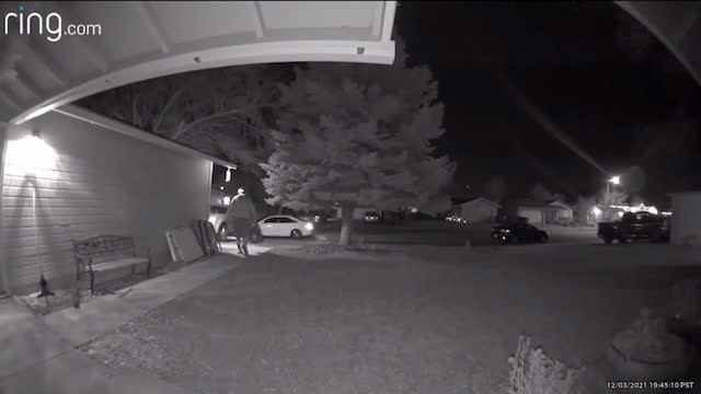 Cute Kid Makes Friends with Delivery Dude