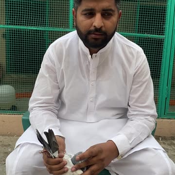 Ustad Malik Mohkam Khokhar Pigeons Watch In HD Urdu/Hindi