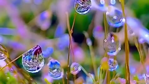 Water rain