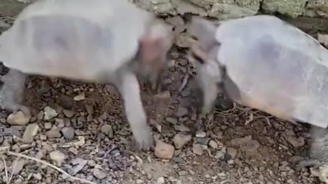 A fight😁😁😁😁🥰🥰🥰
