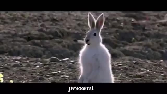 The Present - Isaac Kappy (Rabbit Hole Mix)