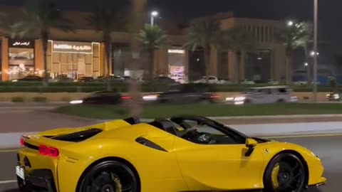 Support Car Racing in Dubai Dxb