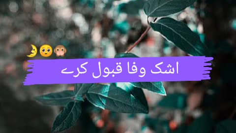 Poetry ❤️❤️💕