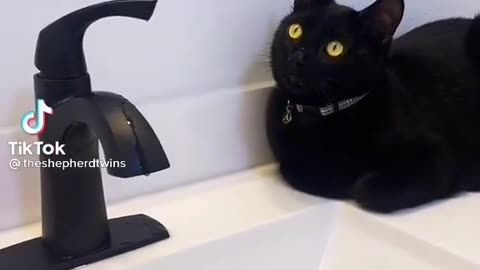 WATER! Somebody .... please?