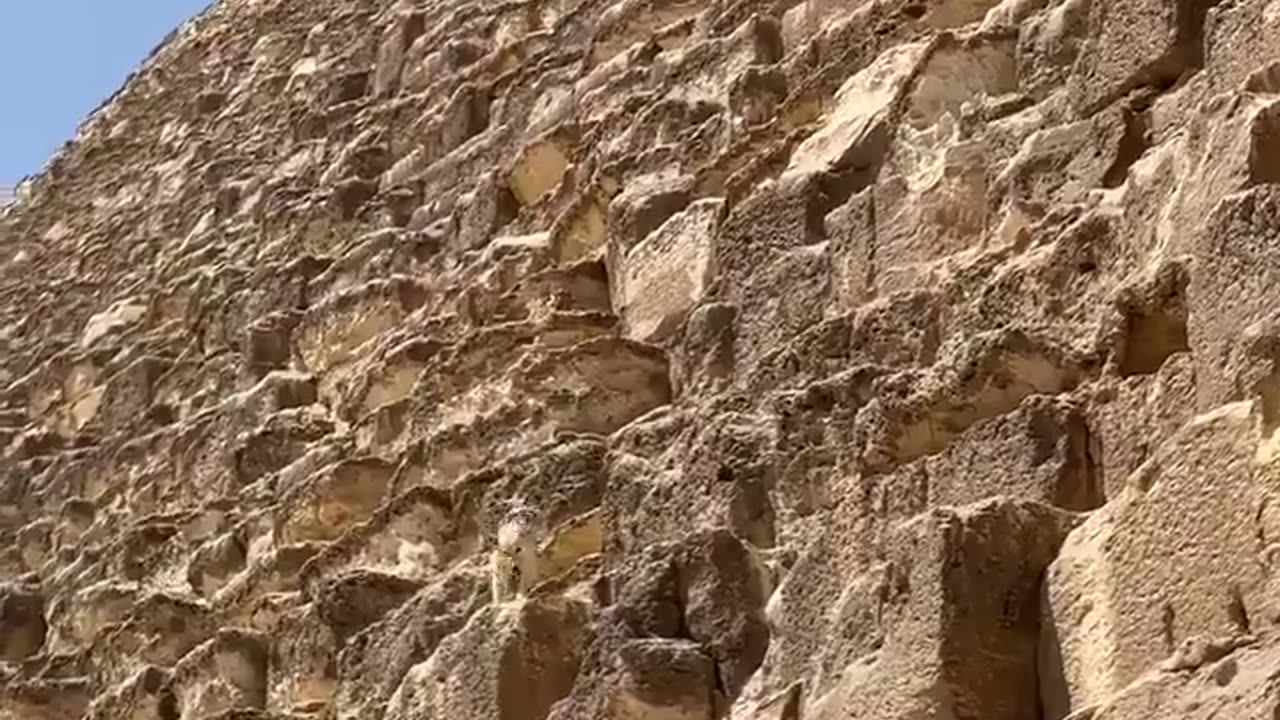 A dog made it's way up and down the Great Pyramid in Egypt