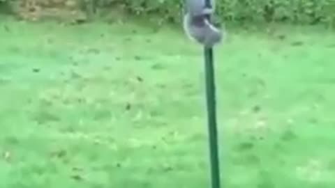 Funny fails and epic trails compilation