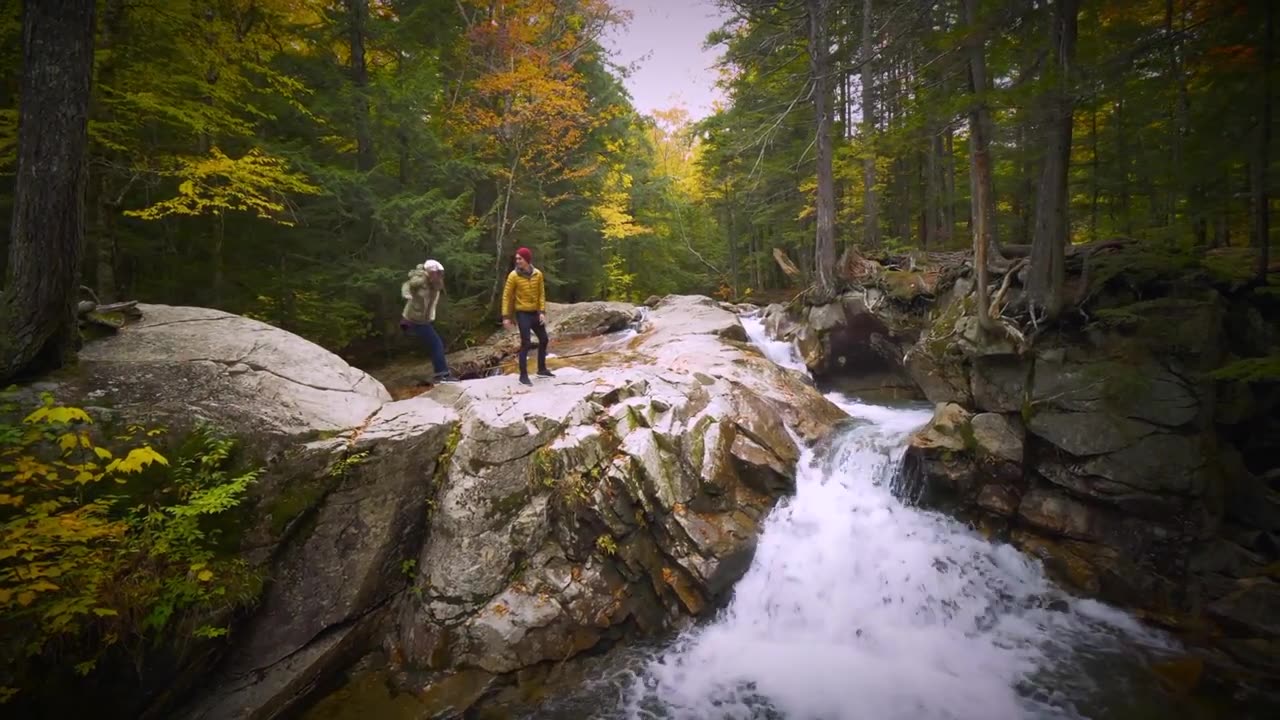 The Beauty Amongst the Trees / Lyric Video - Flat River Band