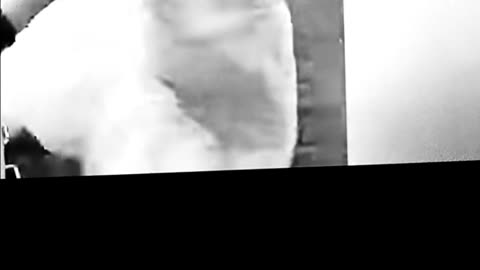 Tourist gets knocked off train....while trying to get a picture for the gram