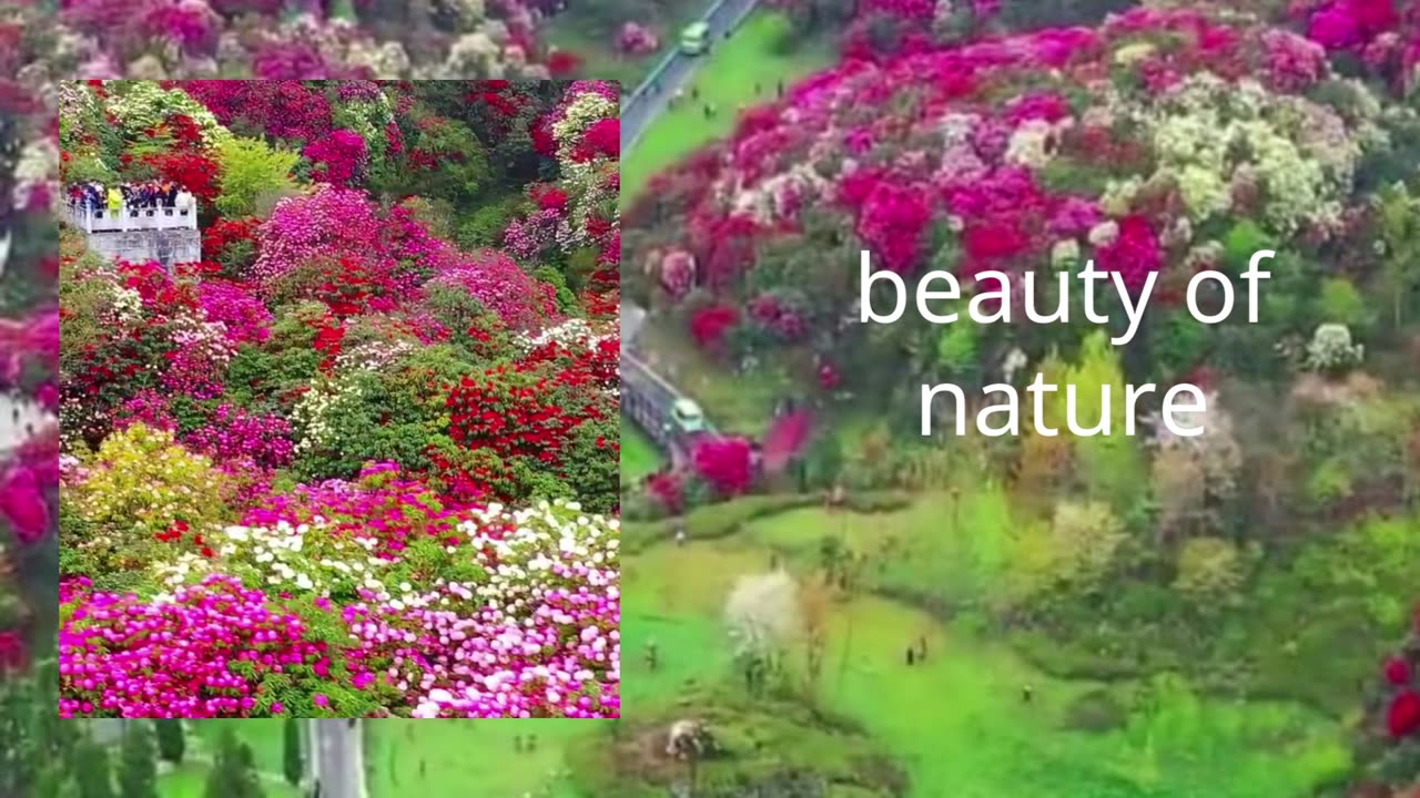 beauty of nature