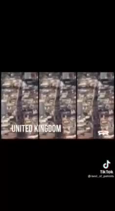 Fight for Freedom 👊