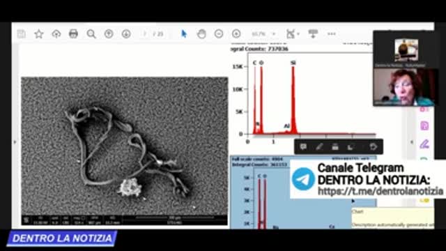 DOTT.SSA ANTONIETTA GATTI: HO ANALIZZATO AL MICROSCOPIO LA PIOGGIA, ECCO COSA HO TROVATO!!! 1/2