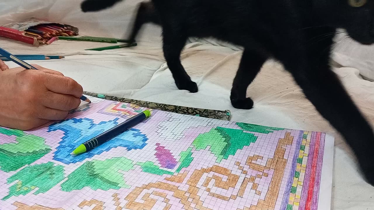 Cute black kitten assistant designer and painter