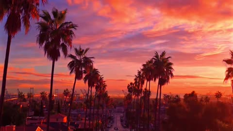 Los Angeles❤️Aesthetic drone shot