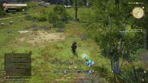FF14 Grinding to 90 4