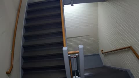 3893FHOB05Stair6_2021-01-06_03h40min01s097ms.mp4