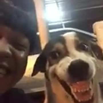 Copy cat imitate smiling 😃 man ||viral hog