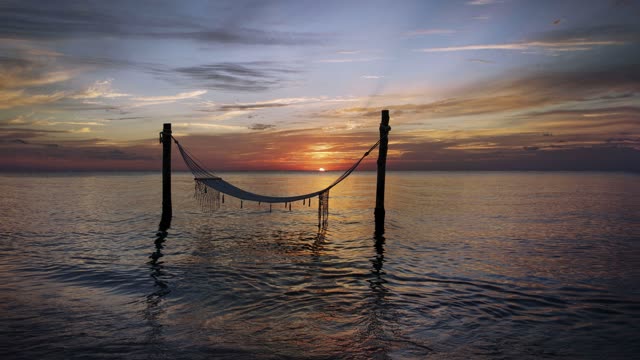 Hammock With A View On SunSet Loop Free To Use Video (No Copyright)