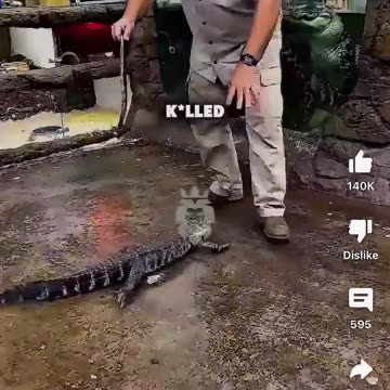 Tristan Tate Triggers VEGAN with LOGIC #viral #fyp #whatever