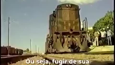 Importância da posse de armas