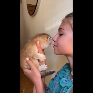 Kid Kissing and Holding the Kitten sweet kitten