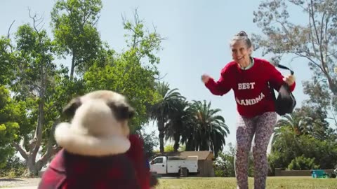 Homeless dog Tarsformation