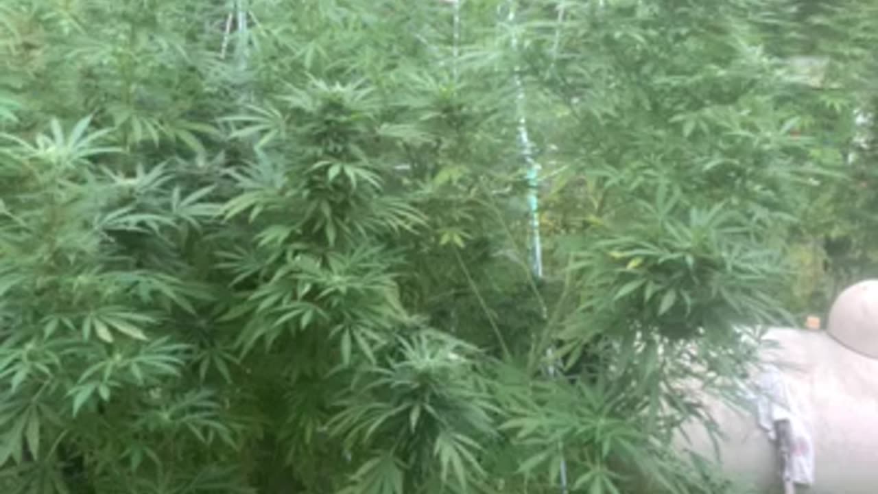 Kamala wants out & the debate about debates p 06 Derek Hunter rumble