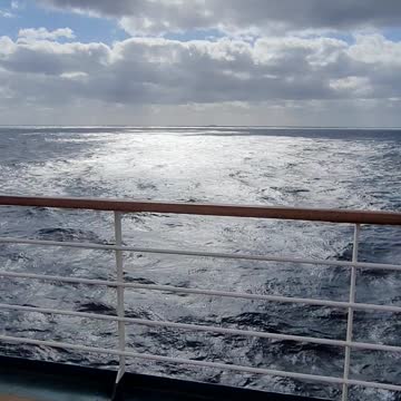 Windy day Carvinal Breeze