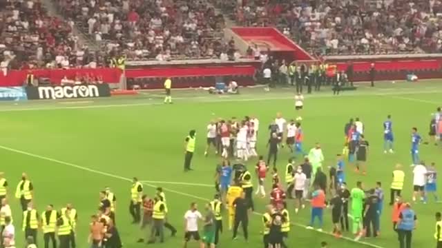player & fans fight on the field
