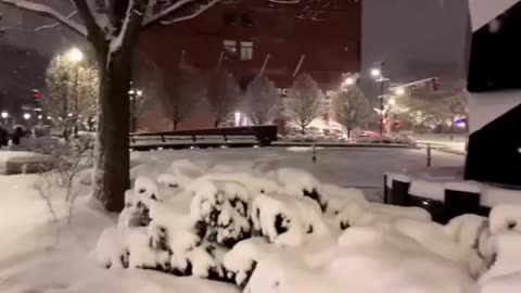 Snowy Night