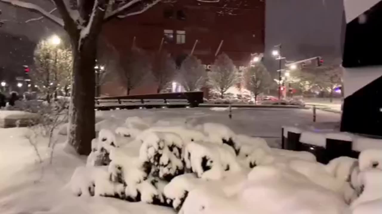 Snowy Night