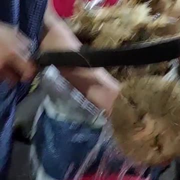 Amazing cutting coconut #travel #foryou #amazing