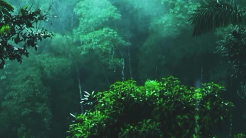 Soothing Rainsounz 🌦
