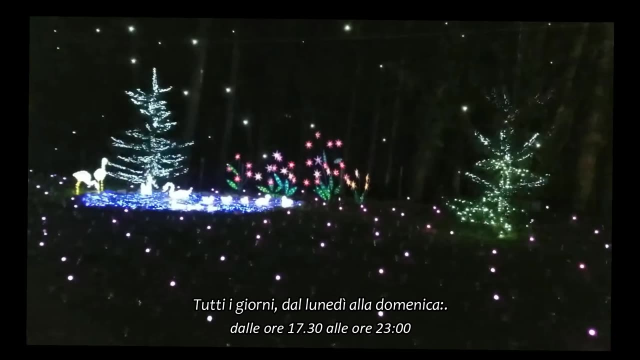 Christmas Park | Lucine di Natale