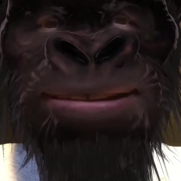 Money Pox or Monkey Pox?