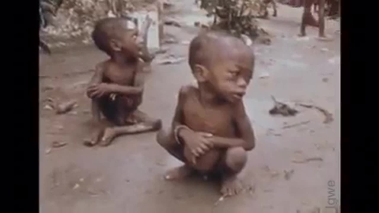 No Truth No Freedom, ** Viewer discretion advised **