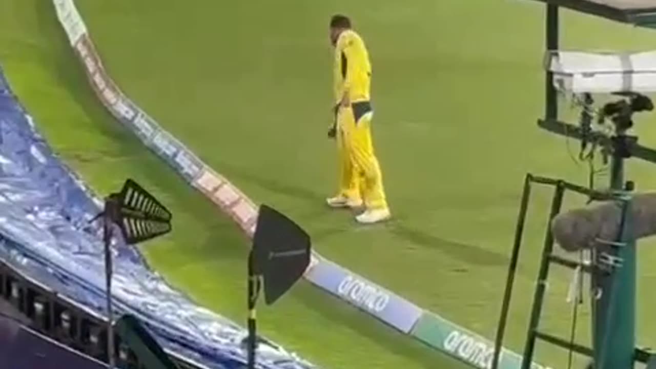 David warner dancing in stadium on indian famous song Srivalli