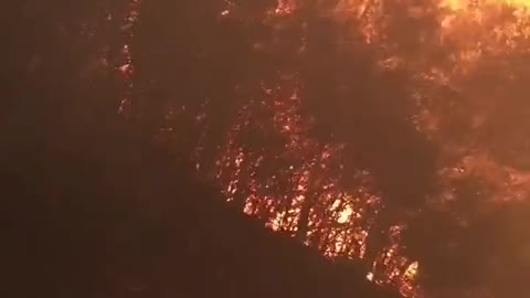 Forest fires rage in Chile