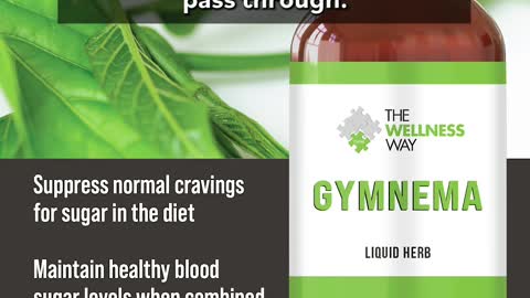 Gymnema