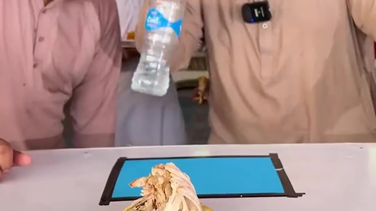 Funny chicken bottle flip challenge